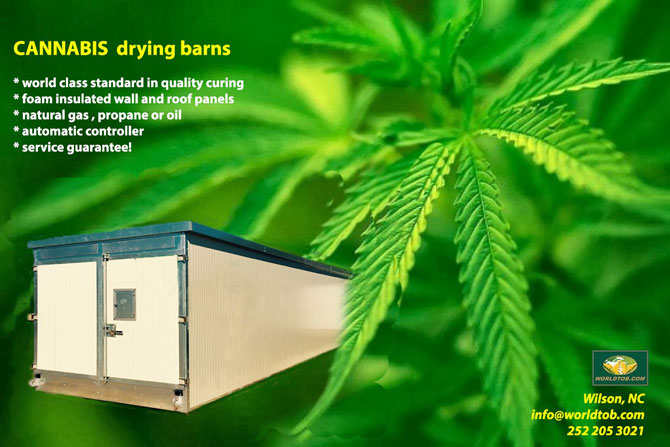 Cannabis Barns