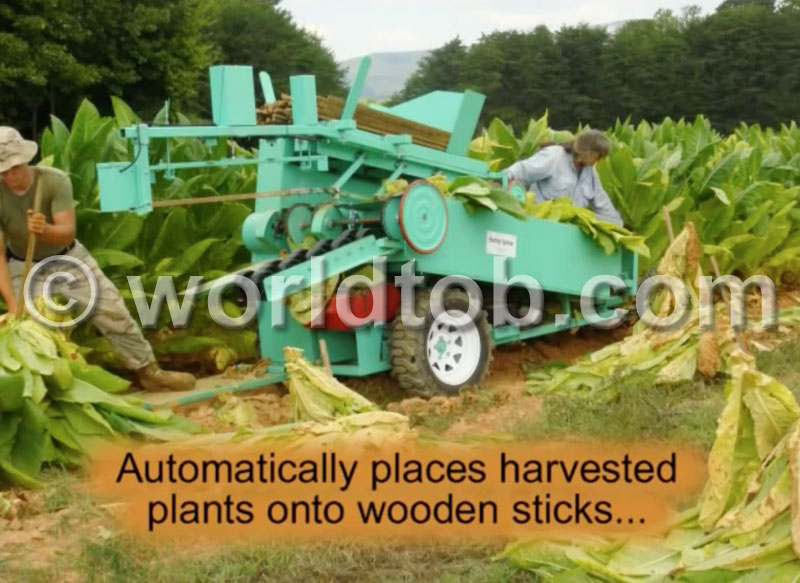 World Tobacco, Inc. - Burley Spiker Machine