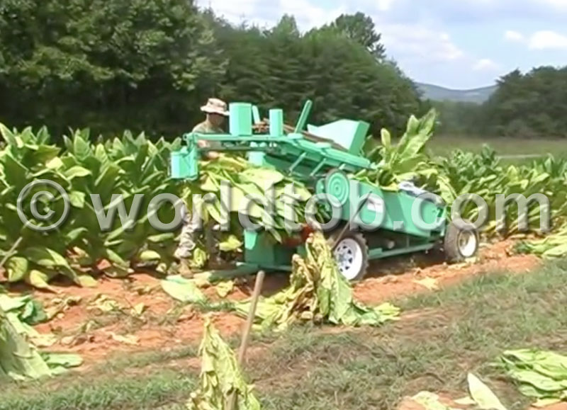 World Tobacco, Inc. - Burley Spiker Machine