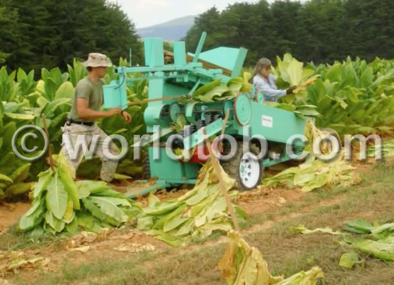 World Tobacco, Inc. - Burley Spiker Machine